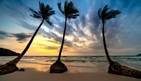 Tropikal Gün Batımı 4K Duvar Kağıdı · tropical · 3840×2234