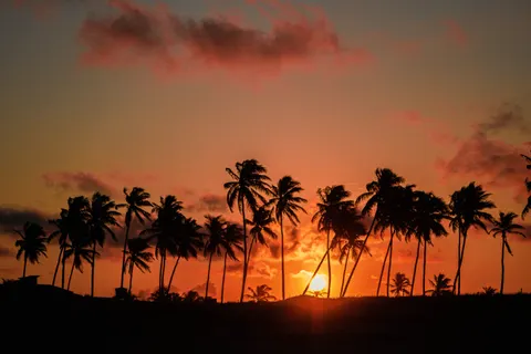 南国の夕日 4K壁紙 · tropical · 3840×2560
