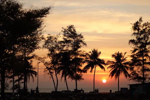 南国の夕日 4K壁紙 · tropical · 3840×2560