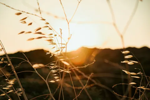 Обои Сельское поле 4K · nature · 3840×2560