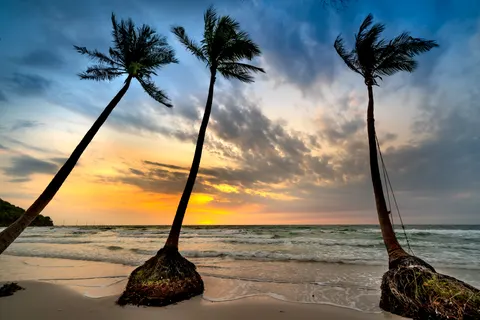 열대 노을 4K 배경화면 · tropical · 3840×2561