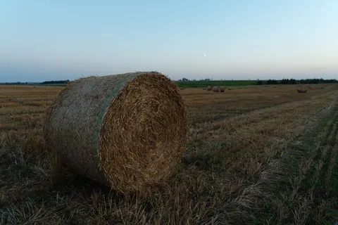Countryside Field 4K Wallpaper · nature · 3840×2560