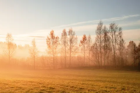 Countryside Field 4K Wallpaper · nature · 3840×2560