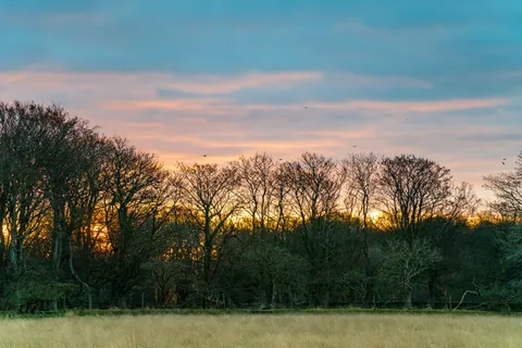 خلفية حقل ريفي بدقة 4K · nature · 3840×2560