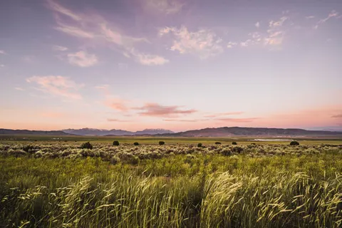 Countryside Field 4K Wallpaper · nature · 3840×2560
