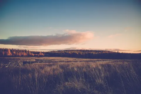 Countryside Field 4K Wallpaper · nature · 3840×2560