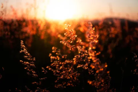 Countryside Field 4K Wallpaper · nature · 3840×2560