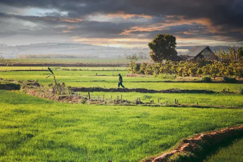Countryside Field 4K Wallpaper · nature · 3840×2560