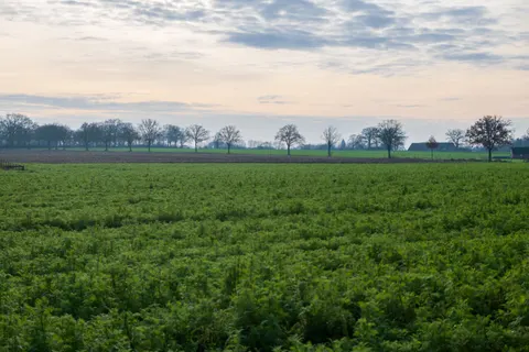 Countryside Field 4K Wallpaper · nature · 3840×2560