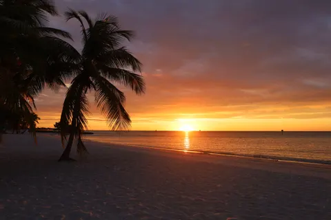 Tropical Sunset 4K Wallpaper · tropical · 3840×2560