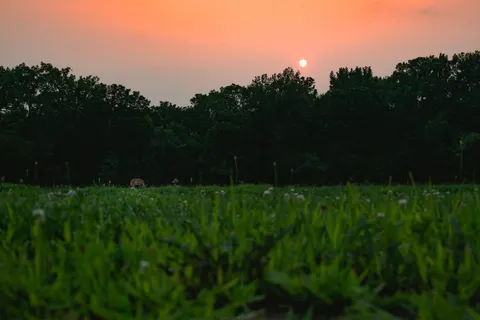 Countryside Field 4K Wallpaper · nature · 3840×2563