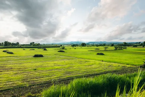 Fond d'écran Champ de campagne 4K · nature · 3840×2586