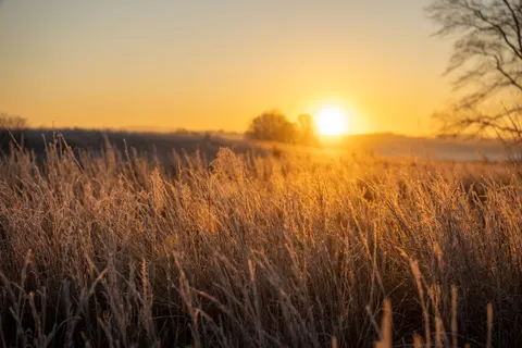Countryside Field 4K Wallpaper · nature · 3840×2560