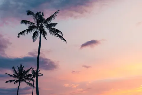 Hình nền Hoàng Hôn Nhiệt Đới 4K · tropical · 3840×2560