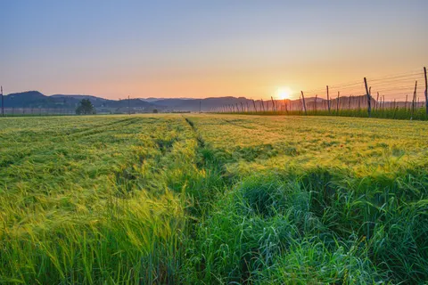 Countryside Field 4K Wallpaper · nature · 3840×2560