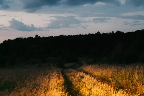 Countryside Field 4K Wallpaper · nature · 3840×2560