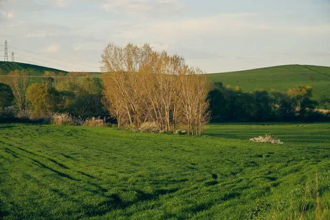 Fond d'écran Champ de campagne 4K · nature · 3840×2560