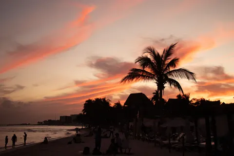南国の夕日 4K壁紙 · tropical · 3840×2560