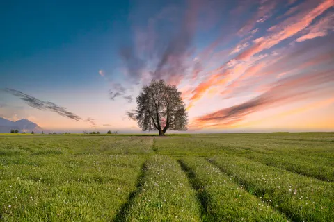 Ländliches Feld 4K Hintergrundbild · nature · 3840×2560