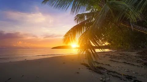 والپیپر غروب استوایی با کیفیت 4K · tropical · 3840×2160