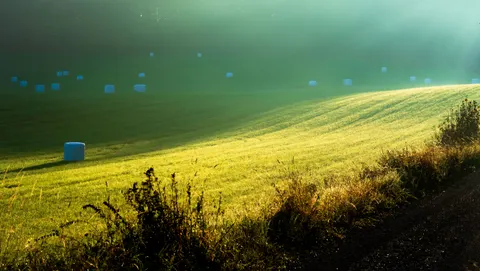 Countryside Field 4K Wallpaper · nature · 3840×2167