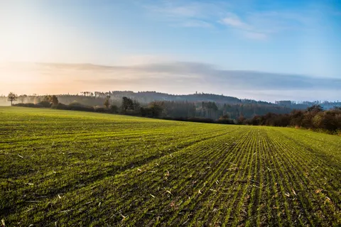 Countryside Field 4K Wallpaper · nature · 3840×2560