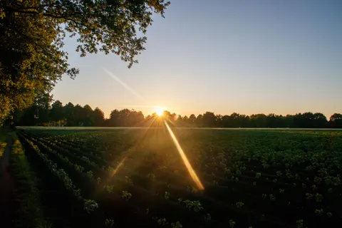 Countryside Field 4K Wallpaper · nature · 3840×2560