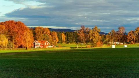 Fond d'écran Champ de campagne 4K · nature · 3840×2160