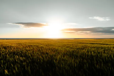 Обои Сельское поле 4K · nature · 3840×2560