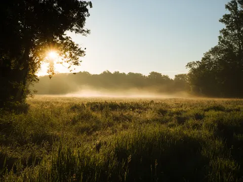 خلفية حقل ريفي بدقة 4K · nature · 3840×2882