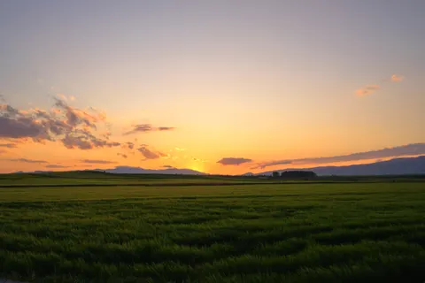 خلفية حقل ريفي بدقة 4K · nature · 3840×2560