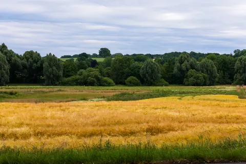 Countryside Field 4K Wallpaper · nature · 3840×2560
