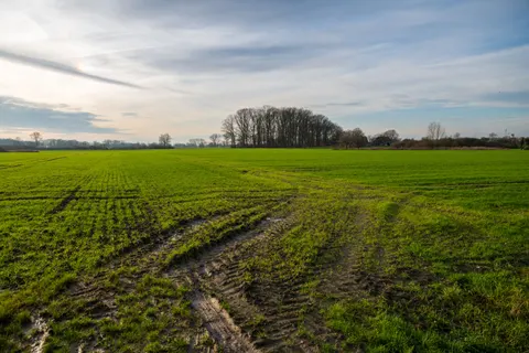 Ländliches Feld 4K Hintergrundbild · nature · 3840×2560