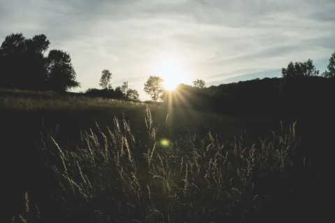Countryside Field 4K Wallpaper · nature · 3840×2560