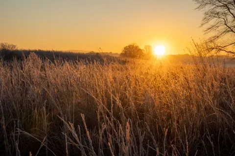 Countryside Field 4K Wallpaper · nature · 3840×2560