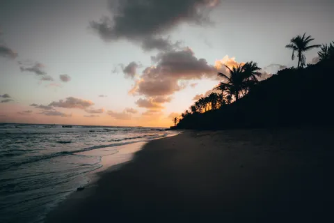 南国の夕日 4K壁紙 · tropical · 3840×2560
