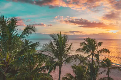 والپیپر غروب استوایی با کیفیت 4K · tropical · 3840×2558