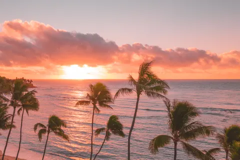 Tropical Sunset 4K Wallpaper · tropical · 3840×2558