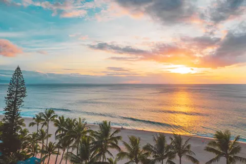 南国の夕日 4K壁紙 · tropical · 3840×2558