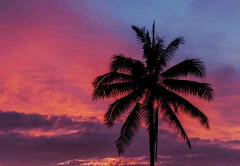 열대 노을 4K 배경화면 · tropical · 3840×2654