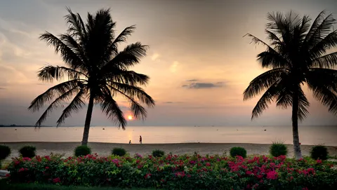 Tapeta Tropikalny Zachód Słońca 4K · tropical · 3840×2170