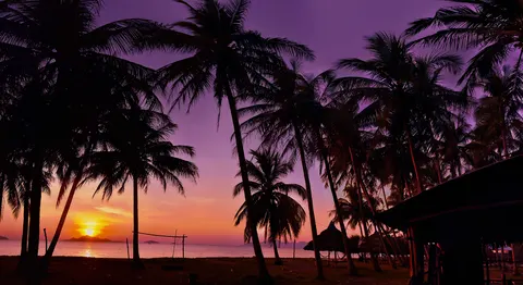 南国の夕日 4K壁紙 · tropical · 3840×2097