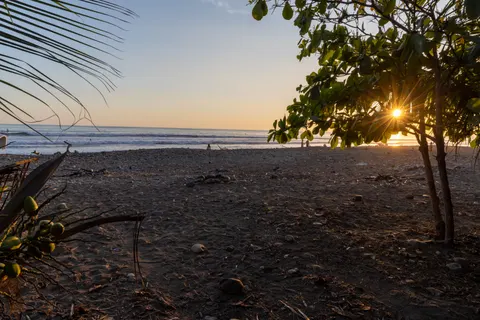 南国の夕日 4K壁紙 · tropical · 3840×2560