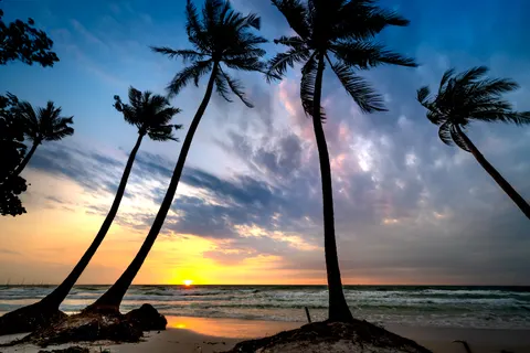 Sfondo Tramonto Tropicale 4K · tropical · 3840×2561