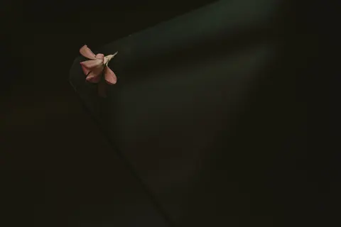 Dark Abstract 4K Wallpaper · dark · 3840×2560