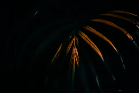 Dark Abstract 4K Wallpaper · dark · 3840×2560