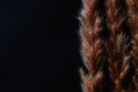 Обои Тёмная текстура 4K · dark · 3840×2560