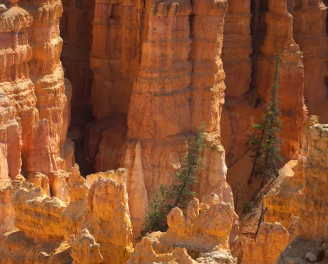Canyon 4K Wallpaper · nature · 3840×3088