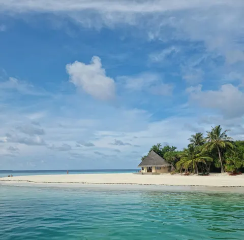 Tropical Beach 4K Wallpaper · ocean · 3840×3787
