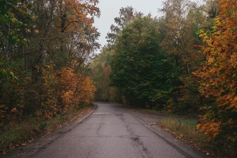 Sfondo Foresta Autunnale 4K · nature · 3840×2560